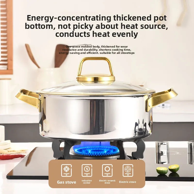Stainless Steel Cooking Pot