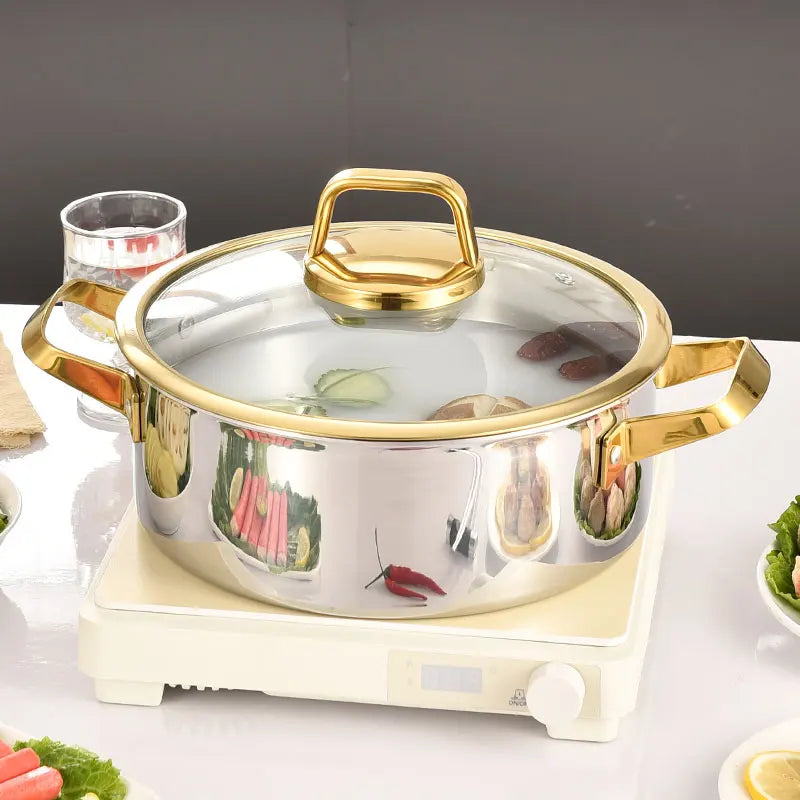 Stainless Steel Cooking Pot