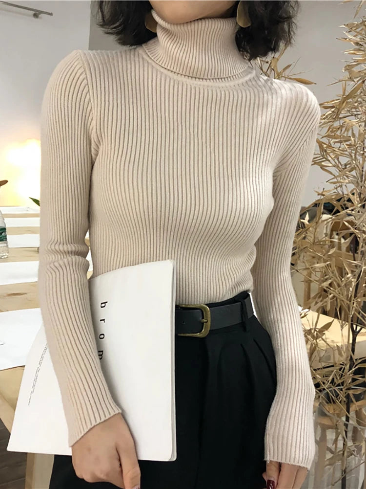 Slim Fit Turtleneck Sweater for Women
