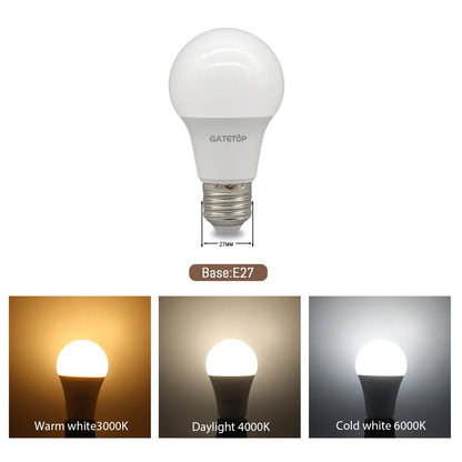 LED Bulb Set