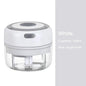 300ML USB Electric Garlic Chopper – Mini Food Crusher