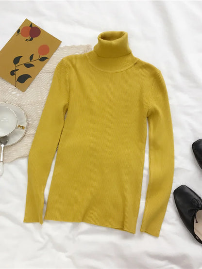 Slim Fit Turtleneck Sweater for Women