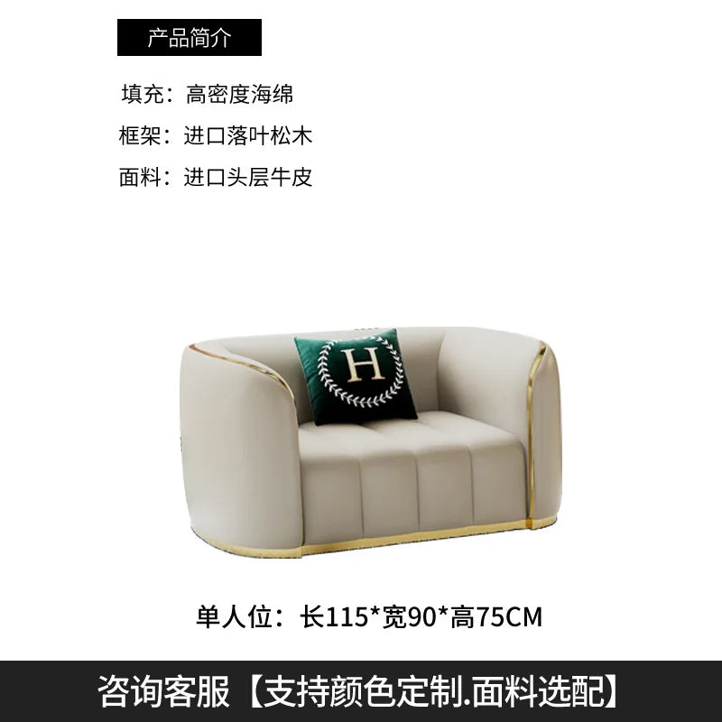 Luxury Leather Sofa for Small Living Room